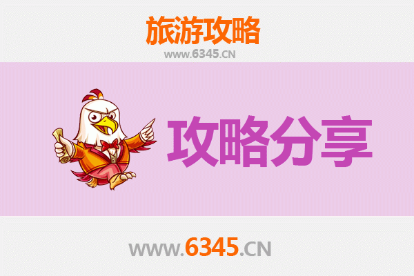 漠河至湄洲岛旅游攻略：跟团与自由行深度对比